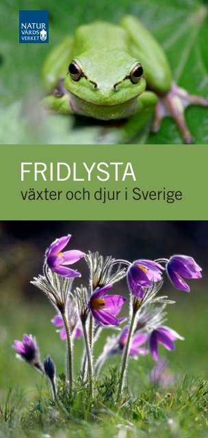 Fridlysta växter och djur i Sverige ISBN: 978-91 ... - Naturvårdsverket