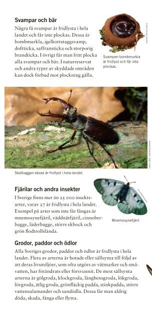 Fridlysta växter och djur i Sverige ISBN: 978-91 ... - Naturvårdsverket
