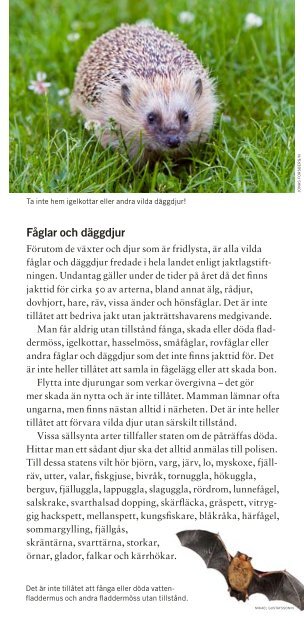 Fridlysta växter och djur i Sverige ISBN: 978-91 ... - Naturvårdsverket