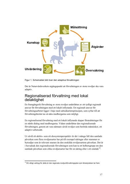 Nationell förvaltningsplan för lodjur 2013 – 2017 - Naturvårdsverket