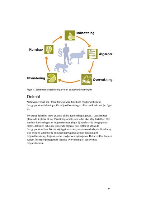 Nationell förvaltningsplan för lodjur 2013 – 2017 - Naturvårdsverket