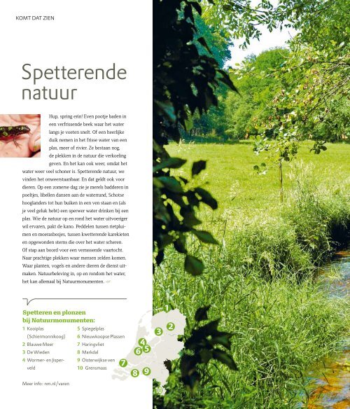 Stoereen bezige bijen - Natuurmonumenten