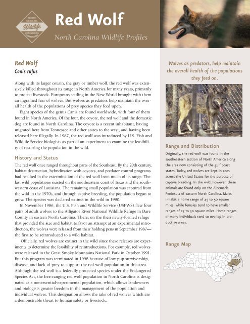 Red Wolf North Carolina Wildlife Profiles