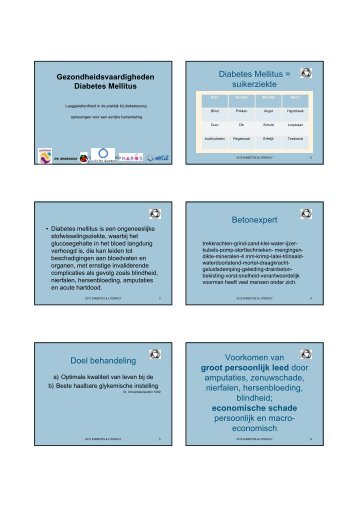 Diabetes Mellitus = suikerziekte Betonexpert Doel ... - NIGZ