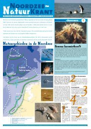 Noordzee Natuur Krant 2004 1 - Stichting De Noordzee