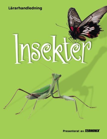 Insekter - Naturhistoriska riksmuseet