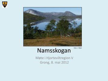 Namsskogan