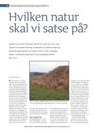 Hvilken natur skal vi satse på? - Planteforskning