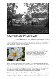 ORANGERIET PÅ GYSINGE - PRO