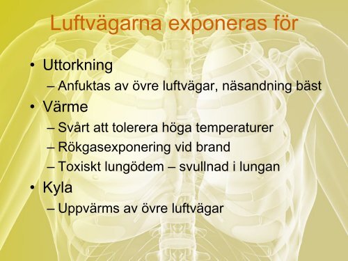 När lungan är sjuk - RDK