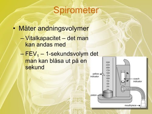 När lungan är sjuk - RDK