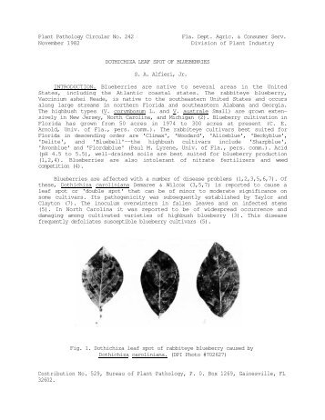 Contribution No. 529, Bureau of Plant Pathology, P. 0. Box 1269 ...