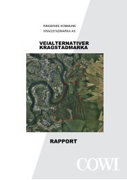 Utredning av ”Veialternativer Kragstadmarka” - Ringerike kommune