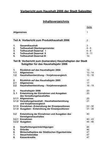Vorbericht zum Produkthaushalt 2006 - Stadt Salzgitter