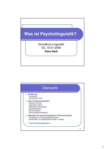 Was ist Psycholinguistik?