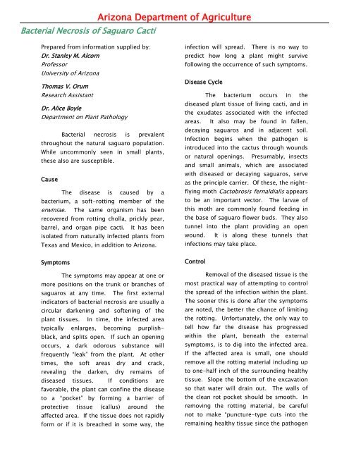 Bacterial Necrosis of Saguaro - Arizona Department of Agriculture