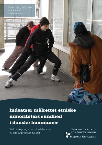 Indsatser målrettet etniske minoriteters sundhed i danske kommuner