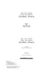Staden Skara Staden Skara - Skara kommun