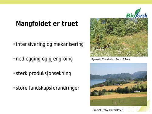 Biomangfold i beitelandskapet - Skog og landskap