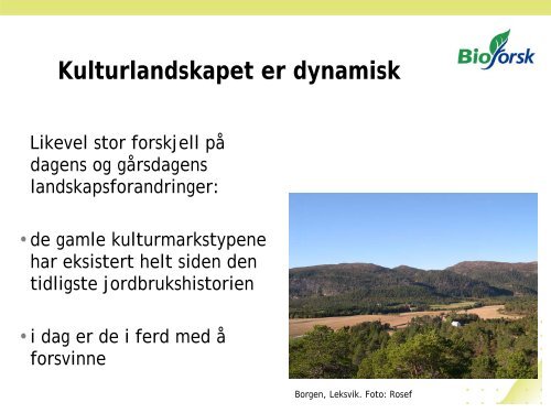 Biomangfold i beitelandskapet - Skog og landskap