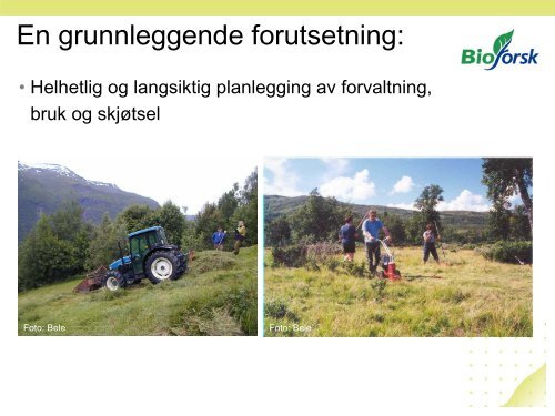 Biomangfold i beitelandskapet - Skog og landskap