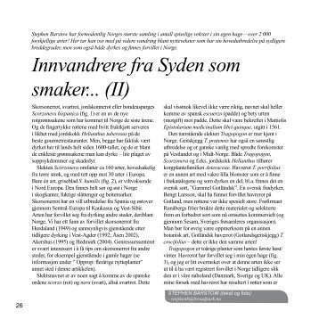 Innvandrere fra Syden som smaker... (II) - Skog og landskap