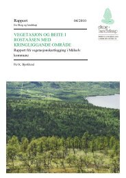 Oppdragsrapport frå Skog og landskap