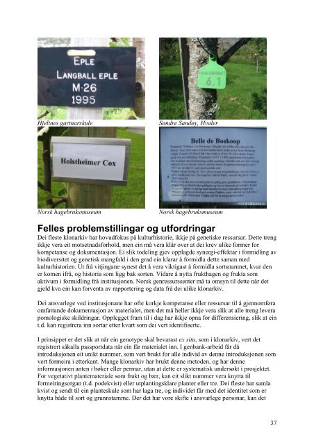 Norske klonarkiv i frukt - Skog og landskap