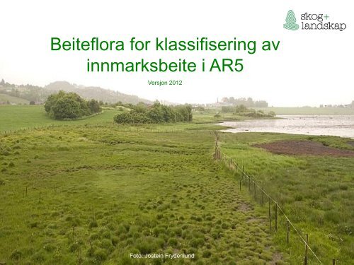 Beiteflora for klassifisering av innmarksbeite i AR5 - Skog og landskap