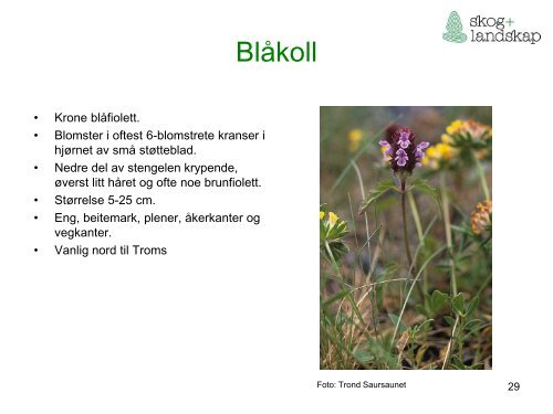 Beiteflora for klassifisering av innmarksbeite i AR5 - Skog og landskap