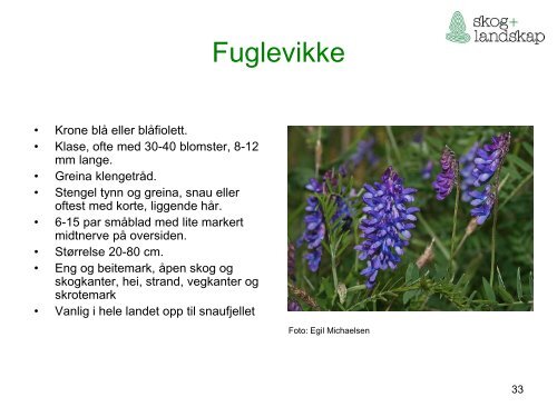 Beiteflora for klassifisering av innmarksbeite i AR5 - Skog og landskap