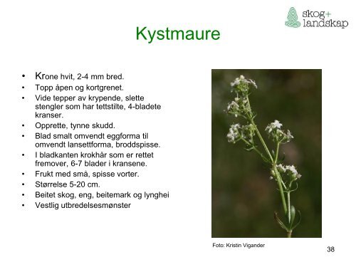 Beiteflora for klassifisering av innmarksbeite i AR5 - Skog og landskap