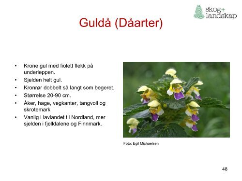 Beiteflora for klassifisering av innmarksbeite i AR5 - Skog og landskap