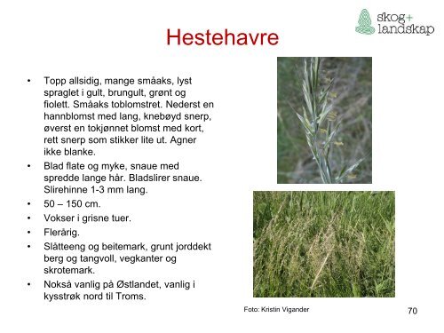 Beiteflora for klassifisering av innmarksbeite i AR5 - Skog og landskap