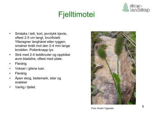 Beiteflora for klassifisering av innmarksbeite i AR5 - Skog og landskap