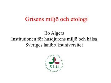 Grisens miljö och etologi som vilda och som tamuppfödda. Bo ... - SLU