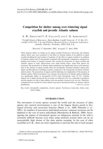 Interactions between Signal crayfish and Atlantic salmon