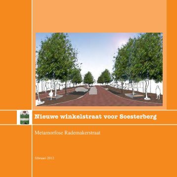 herinrichting van de Rademakerstraat in ... - Gemeente Soest