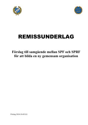 Ingress till remissfrågorna