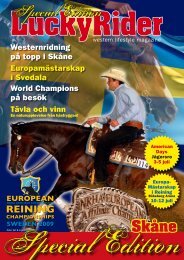 Special Edition - Scandinavian Reining Horse Association