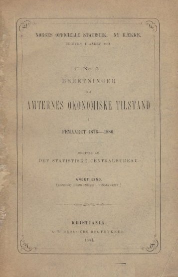 Beretninger om Amternes Økonomiske Tilstand i Femaaret 1876-1880
