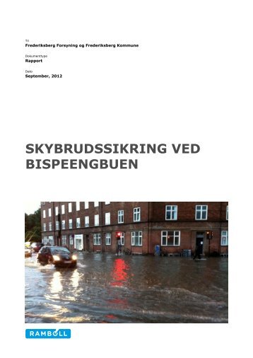 Rapport_Bispeengbuen - Udbud.dk