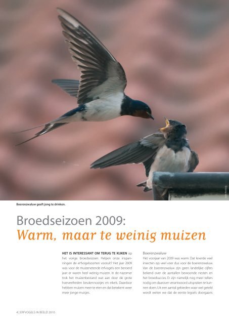 downloaden - Vogelbescherming Nederland