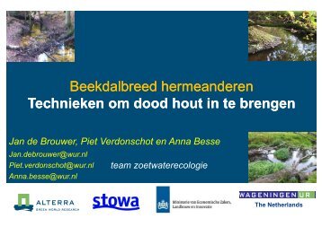 Technieken om dood hout in de brengen-Jan de Brouwer - Stowa