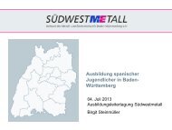 pdf B. Steinmüller 