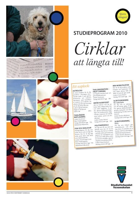 Cirklar att längta till! - Studieförbundet vuxenskolan