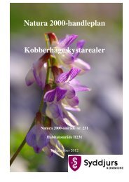 Handleplan Kobberhage med kystarealer.pdf - Syddjurs Kommune