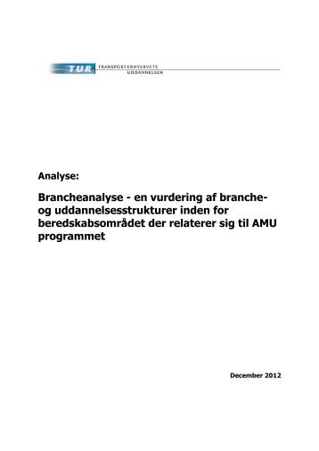 Ambulance, assistance og redning - en analyse af branche