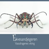 Elvesandjegeren. Vassdragenes viking - NINA