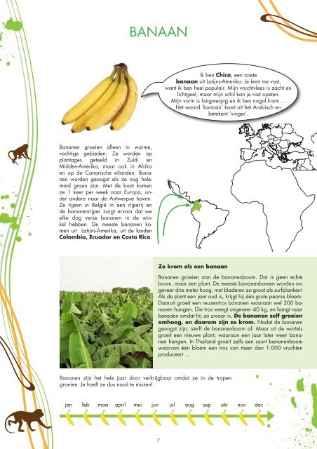 Fruitfiches - Colruyt